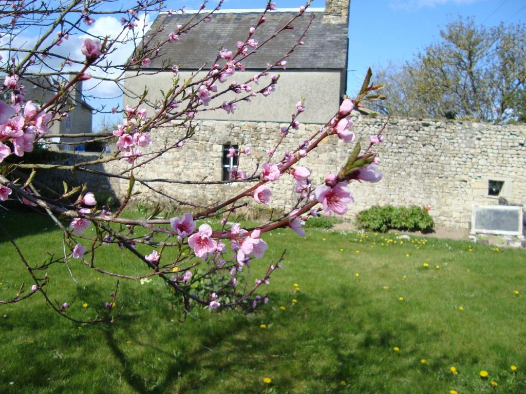 La Maison Claire Longueville (Calvados) Exterior foto